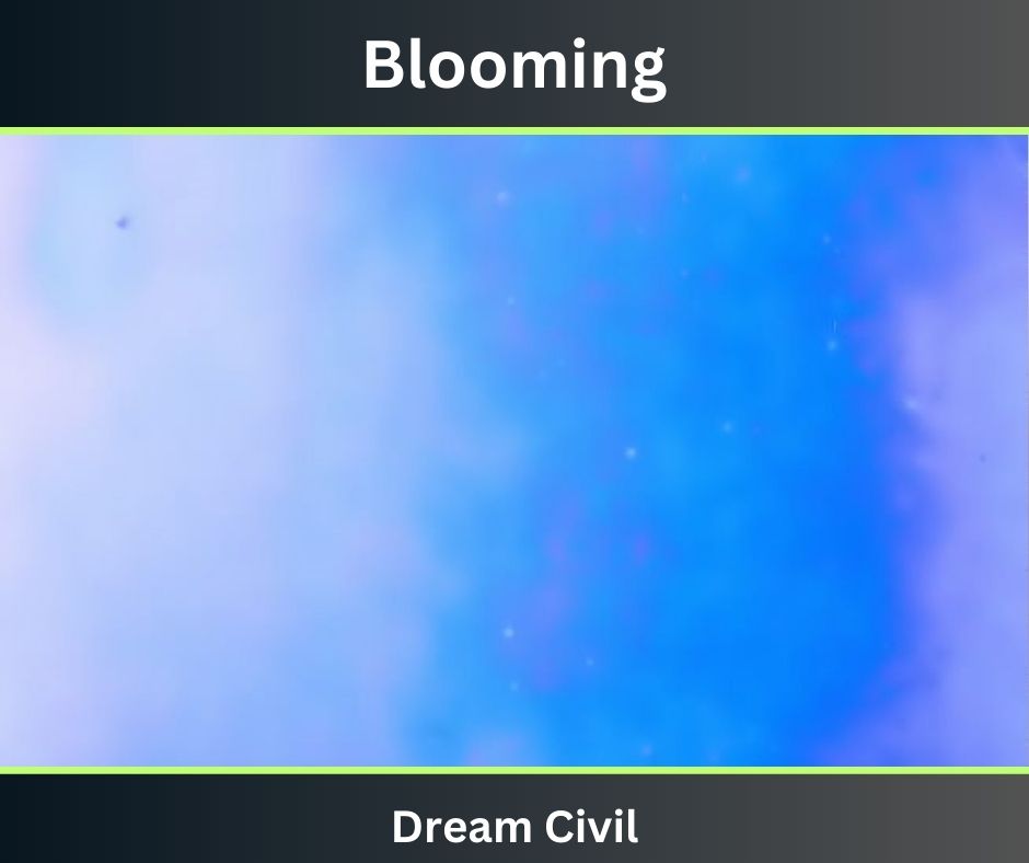 Blooming