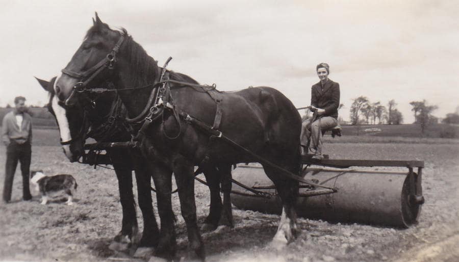 History of Road Roller