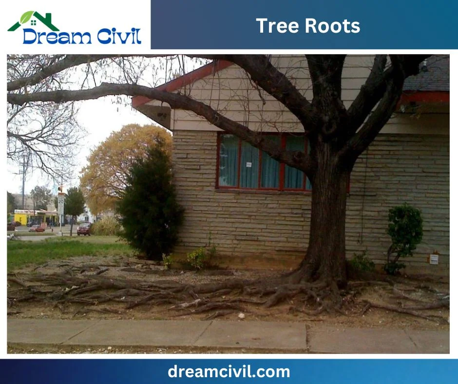 Common Foundation Problems in Construction