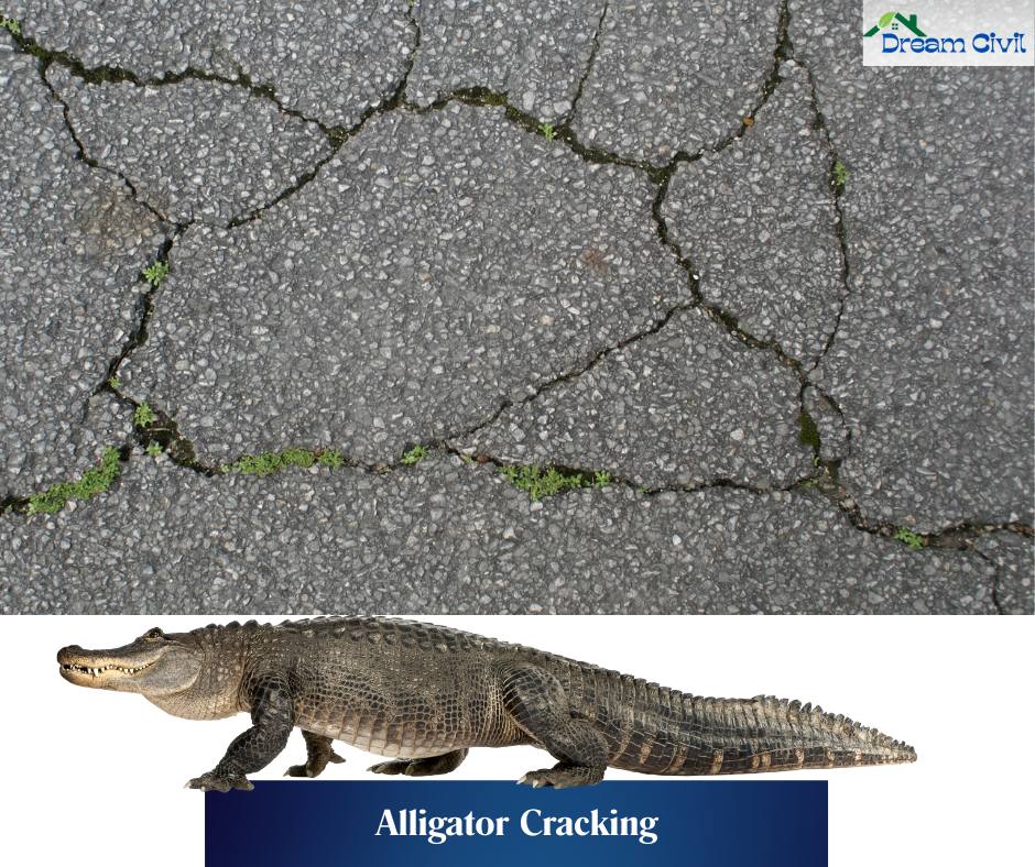 Alligator Cracking