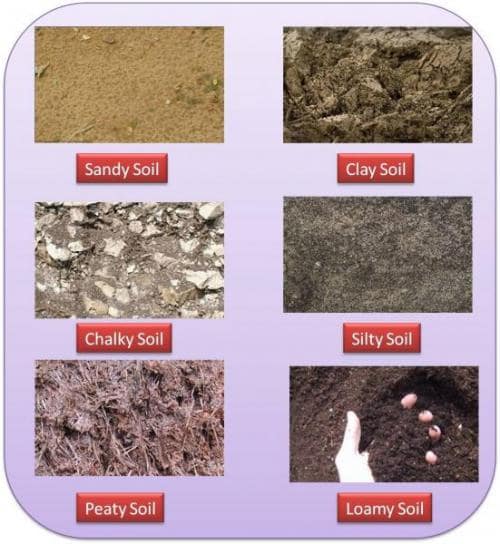 types-of-soil-chart