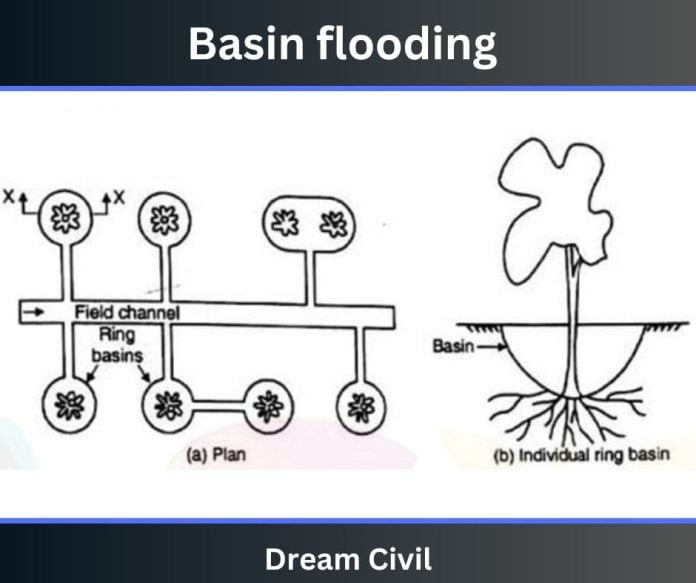 Flooding Irrigation 2 Types Of Flooding Irrigation Wild Flooding