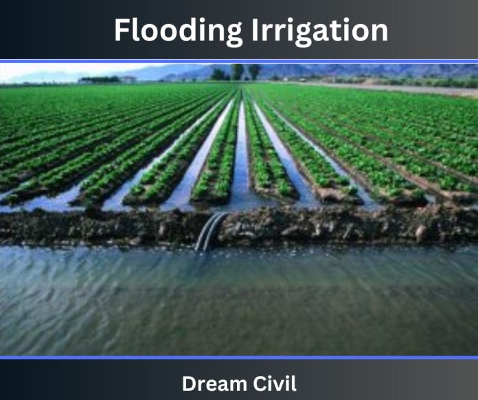 Flooding Irrigation : 2 Types Of Flooding Irrigation ( Wild Flooding ...