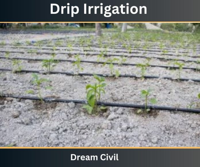 Drip Irrigation