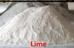 lime