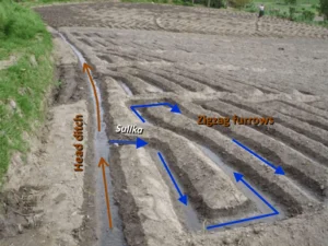 zigzag furrow