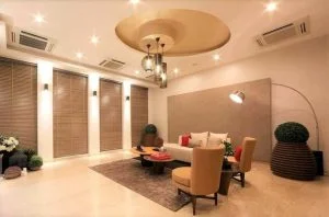 Tray Ceiling