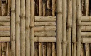 Bamboo wood