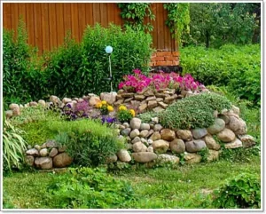 Rock Garden Design Ideas 