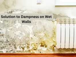 Solution to Dampness on Wet Walls
