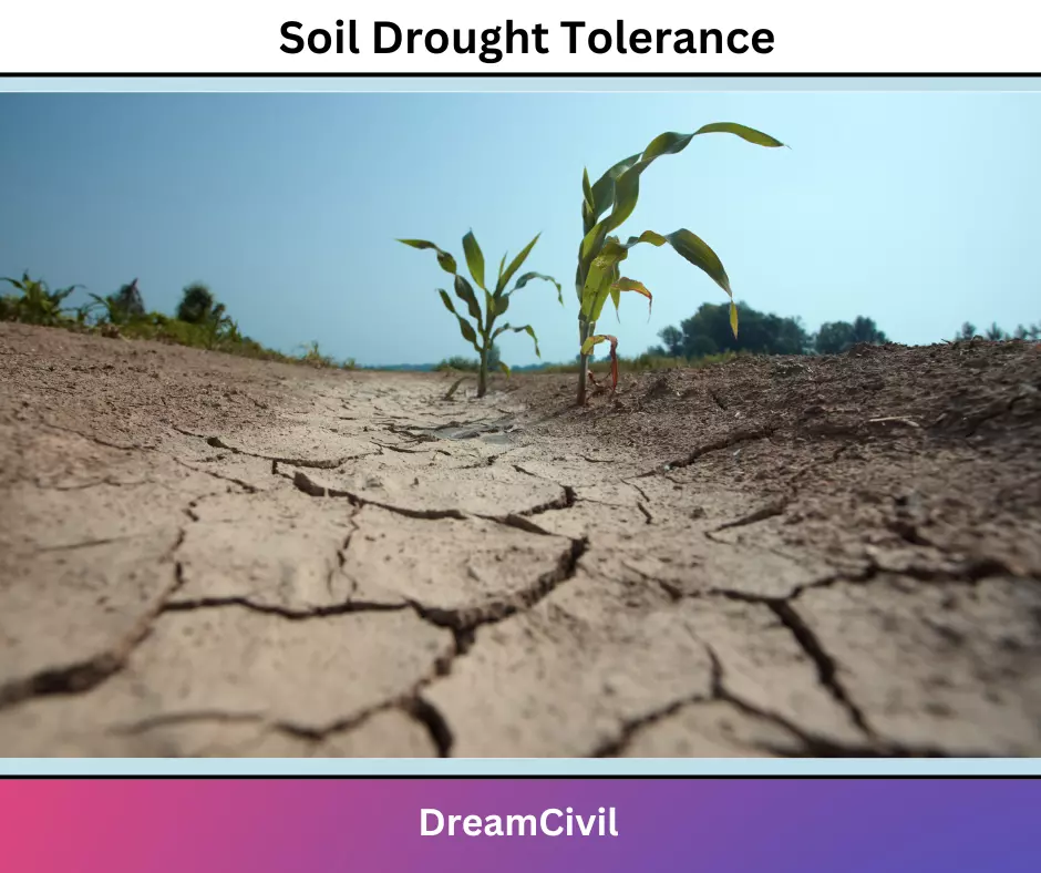 Soil Drought Tolerance