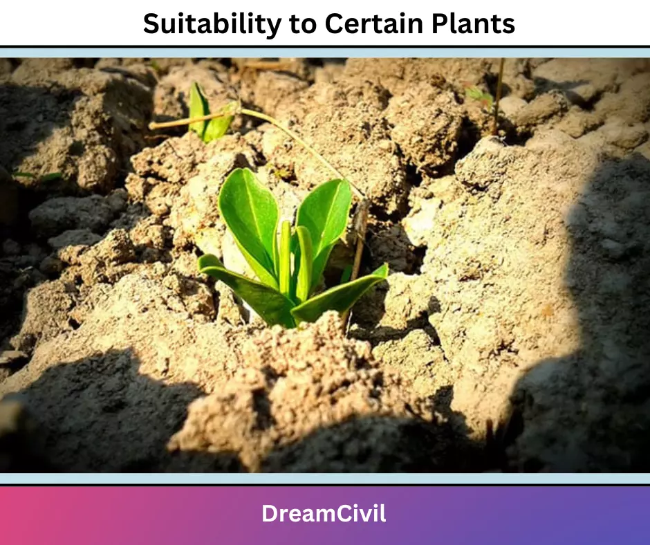 Suitability to Certain Plants