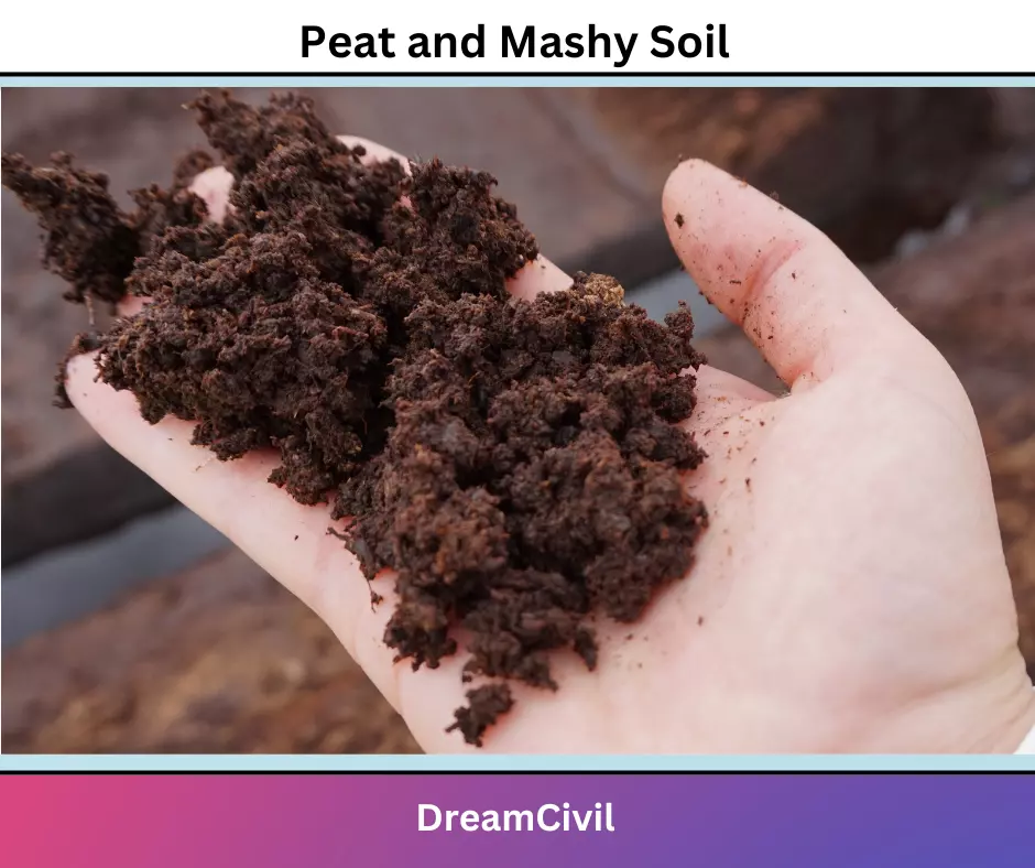 Peat and Mashy Soil