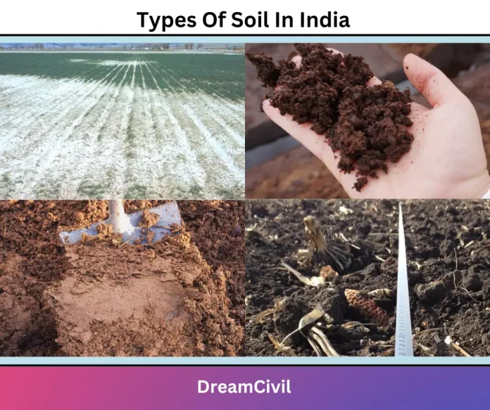 Types Of Soil In India