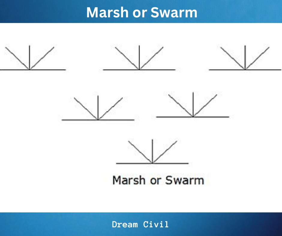 Marsh or swarm
