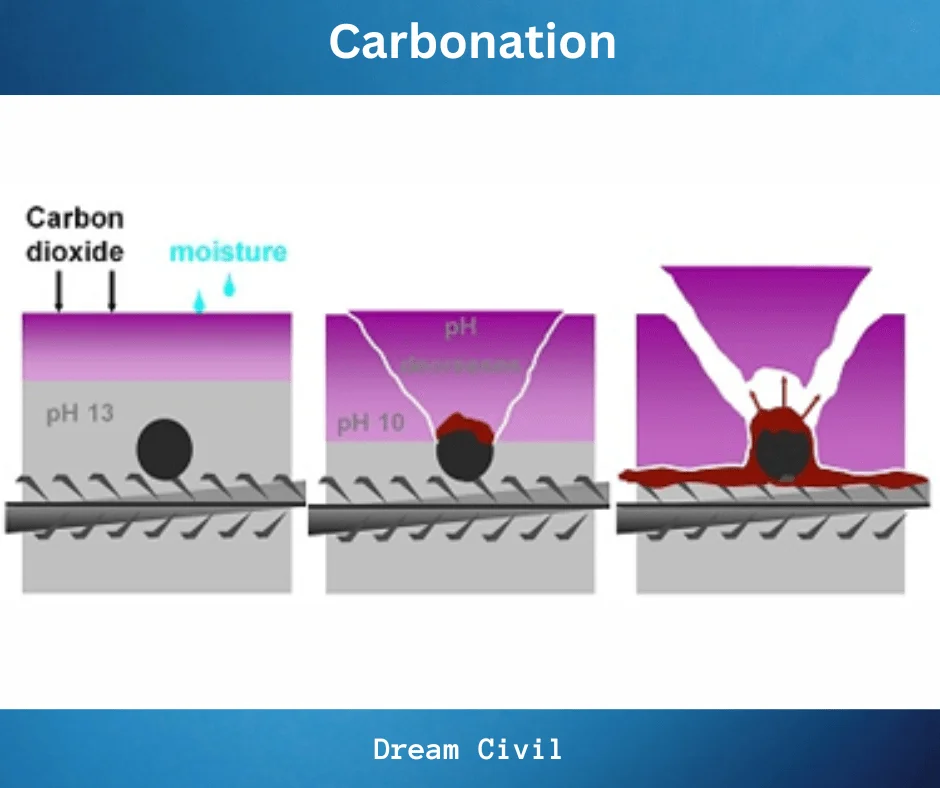 Carbonation