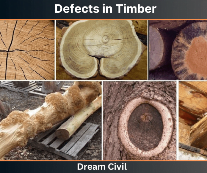 Defects in Timber Natural, Fungi, Seasoning & More Dream Civil