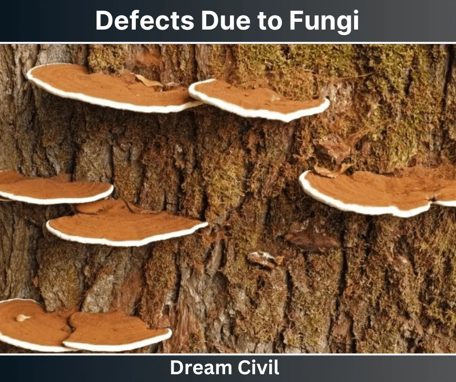 Defects Due to Fungi