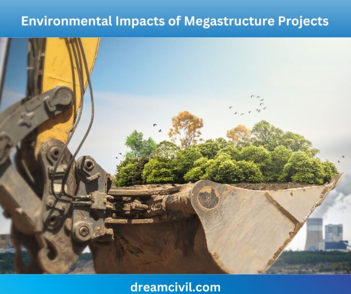 Environmental Impacts of Megastructure Projects