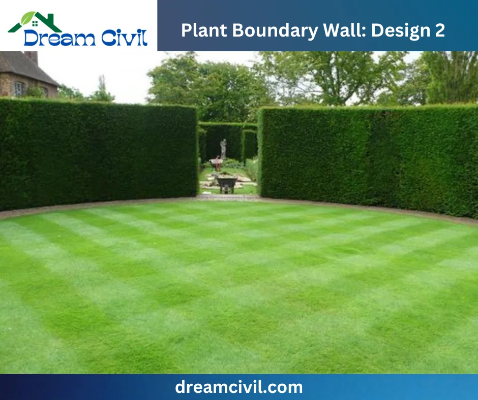 Plant Boundary Wall: 10 Stunning Designs, Key Details, and Standard Sizes