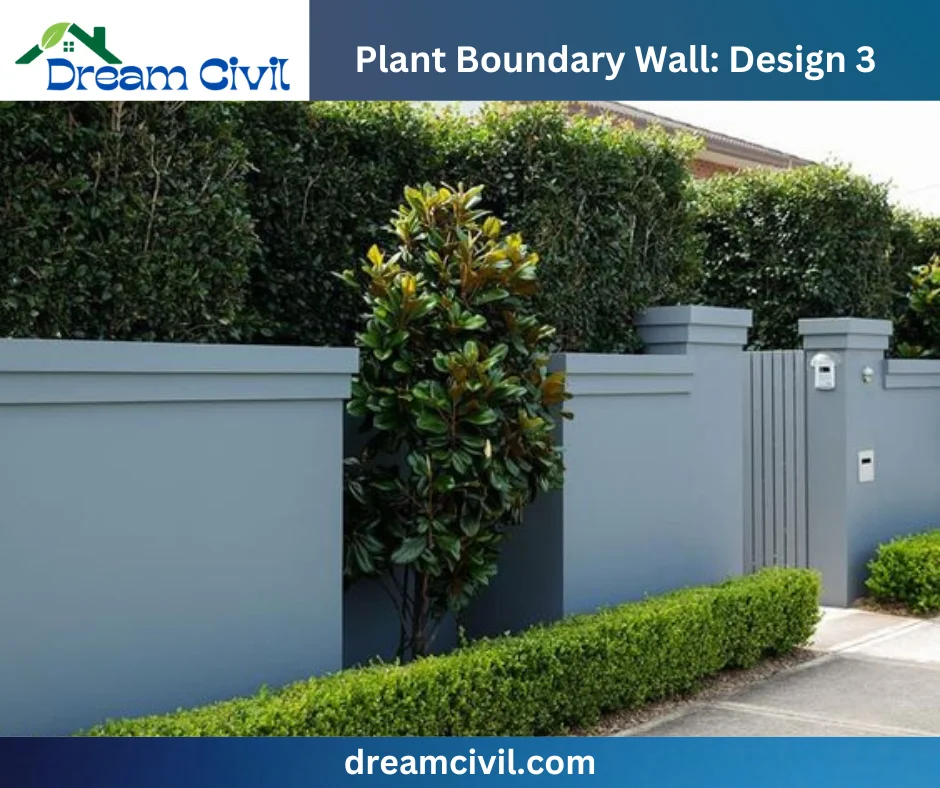 Plant Boundary Wall: 10 Stunning Designs, Key Details, and Standard Sizes