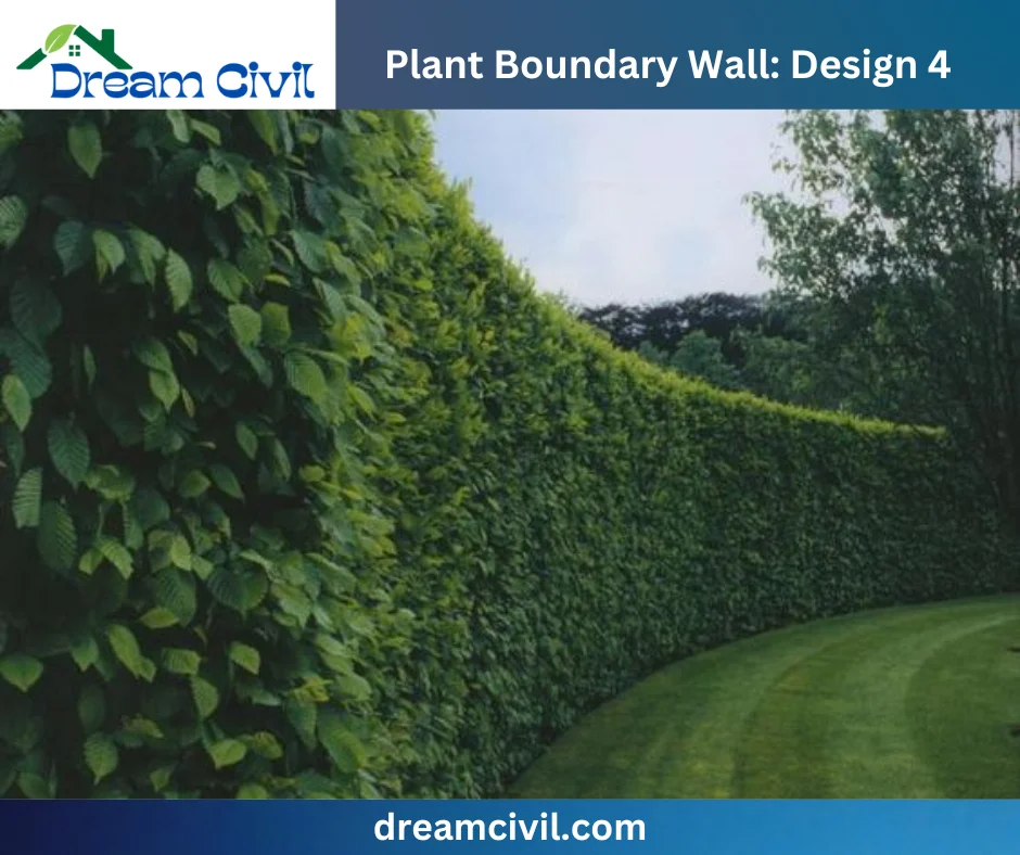 Plant Boundary Wall: 10 Stunning Designs, Key Details, and Standard Sizes