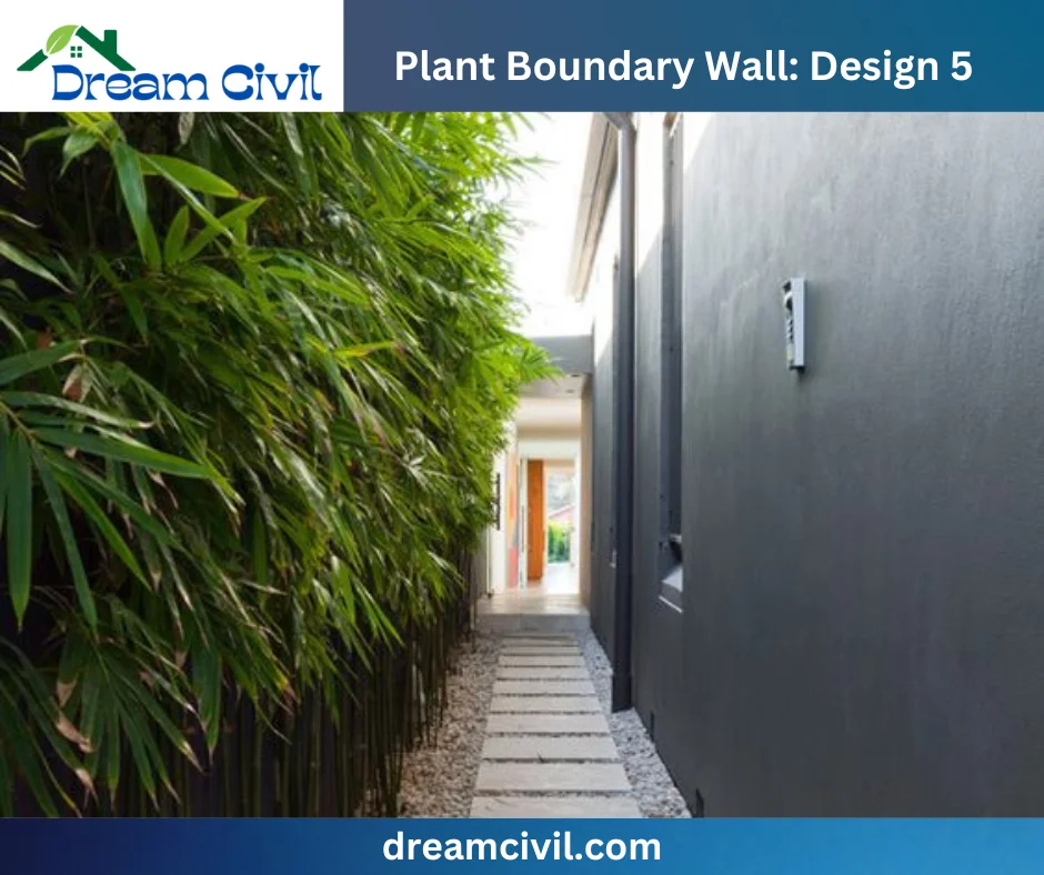 Plant Boundary Wall: 10 Stunning Designs, Key Details, and Standard Sizes