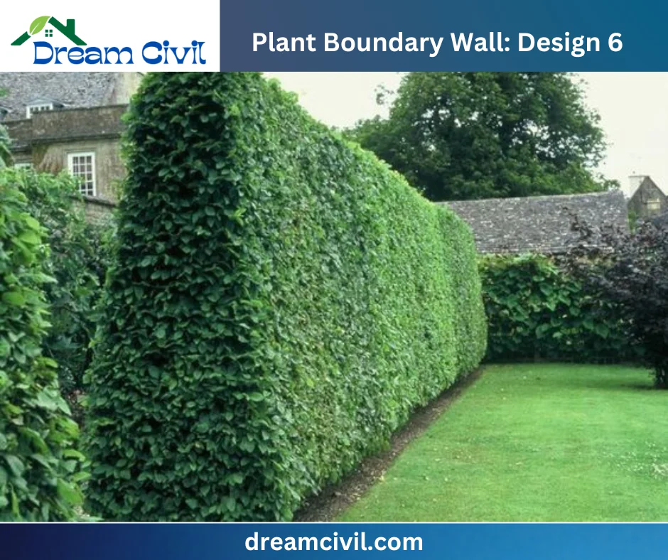 Plant Boundary Wall: 10 Stunning Designs, Key Details, and Standard Sizes