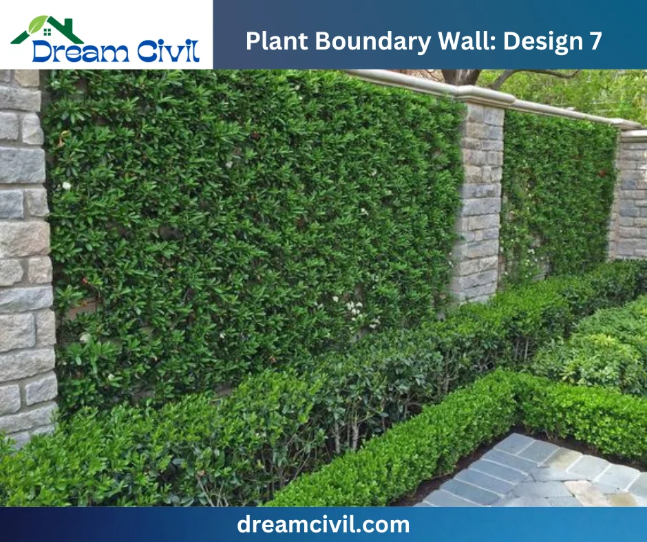 Plant Boundary Wall: 10 Stunning Designs, Key Details, and Standard Sizes