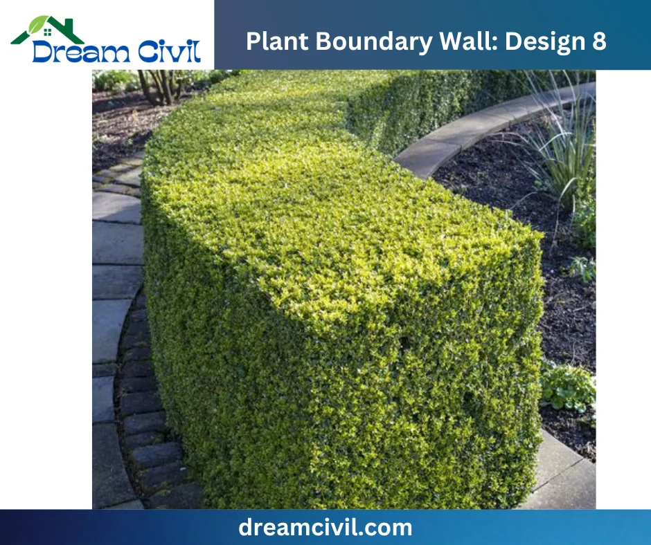 Plant Boundary Wall: 10 Stunning Designs, Key Details, and Standard Sizes