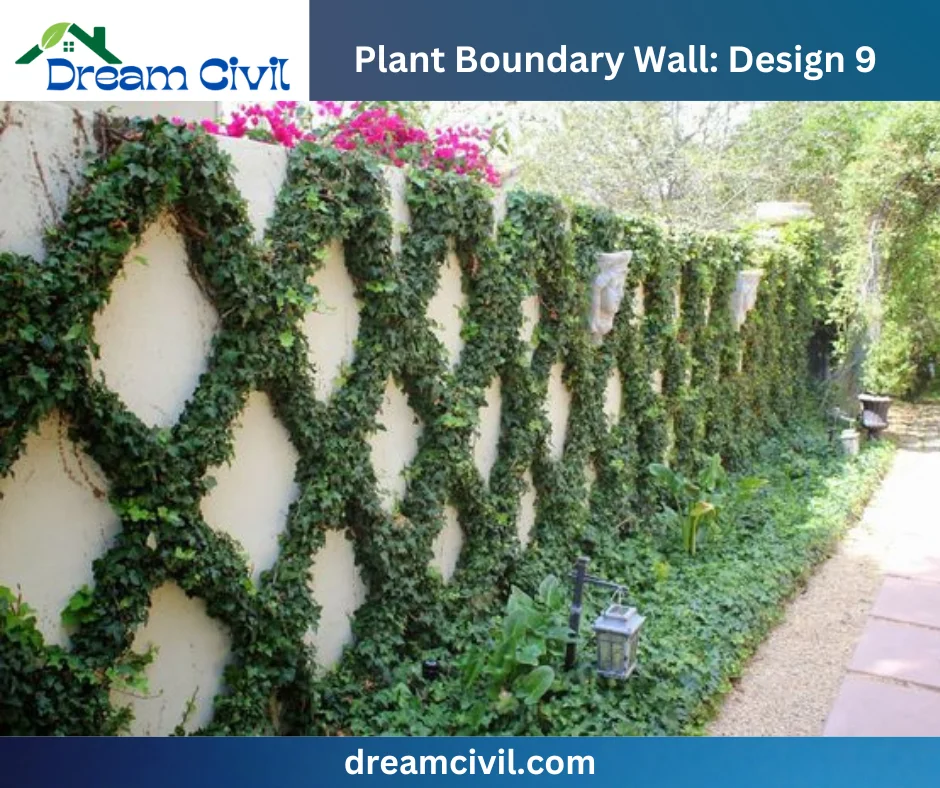 Plant Boundary Wall: 10 Stunning Designs, Key Details, and Standard Sizes