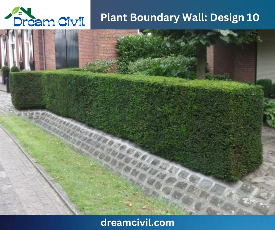 Plant Boundary Wall: 10 Stunning Designs, Key Details, and Standard Sizes