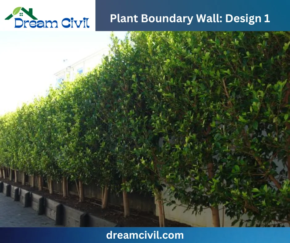 Plant Boundary Wall: 10 Stunning Designs, Key Details, and Standard Sizes